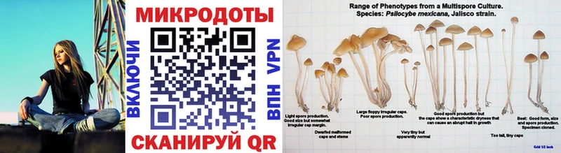 MEGA сайт  Первомайск  Галлюциногенные грибы Magic Shrooms 